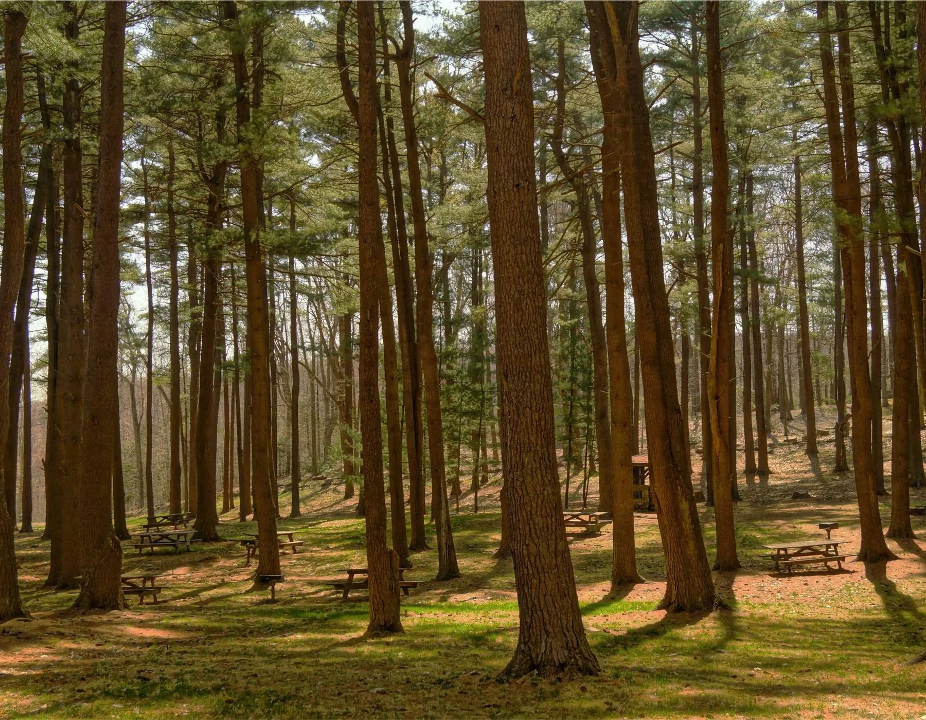 Landscape photograph